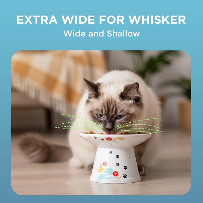 Necoichi Ceramic Extra-Wide Elevated Cat Food Bowl (Fuji, Extra Wide)