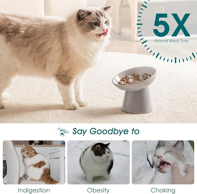 vancasso Ceramic Slow Feeder Cat Bowl, 6.25 Inch Elevated Cat Slow Feeder Bowl, Anti Vomiting for Dry and Wet Food, Grey