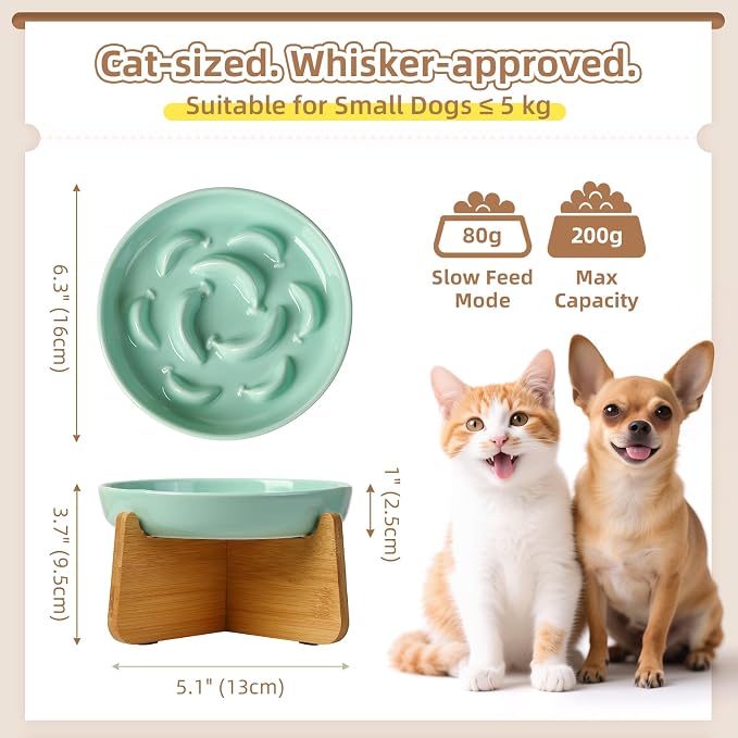 Elevated Ceramic Slow Feeder Cat Bowl, 6.3'' Wide Whisker Friendly | Slow Eating 5x, Anti Vomit Shallow Slow Eating Cat Dish, 3.7" H Raised Cat Puzzle Feeder for Dry and Wet Food, 6.3" X 1.2"