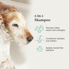 iGroom All-in-One Dog Shampoo + Conditioner, Luxury Pet Beauty Care, Deep Clean All Coat Types, Hydrate and Condition Coat, Made in the USA, Gallon