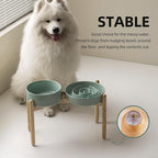 Havniva Elevated Slow Feeder Dog Bowls, Ceramic Dog Bowl Slow Feeder Set | 3.2 Cups Raised Slow Feeder Dog Bowl for Large Breed, 8.2” Dog Water Bowl with Wooden Stand, Puzzle Dog Food Bowl, Non-slip