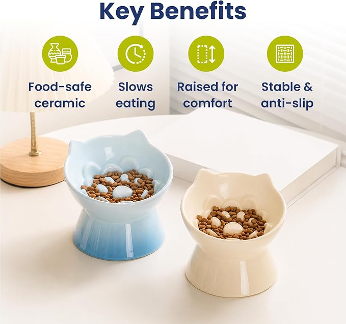 Lynx Ceramic Raised Slow Dog & Cat Elevated Food Bowl, Arctic Ombre | Tilted 15° Elevated Pet Food Bowl, Whisker-Friendly, Anti-Choking Dish, Dishwasher Safe, Nonslip, Food Grade Material