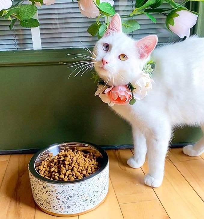 Terrazzo Single Elevated Pet Bowl Stand, Small, White | Removable Stainless Steel 16oz Inner Bowl, For Small Dog Breed or Cat, Raised Food or Water Station