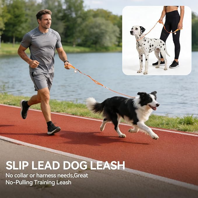 Dog Slip Leash with Double Padded Handles, Dog Training Lead to Stop Pulling,No-Pull Slip Leash and Collar Combo, Anti-Tangle,Traffic Control,Heavy Duty&Durable