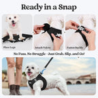 rabbitgoo Dog Harness Small Sized and Leash Set, Step-in Puppy Pet Vest | Light, Soft, Breathable Air Mesh, Easy on and Remove with Hook & Loop, Secure Reflective for Walking, Black M