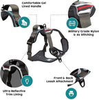 Embark Adventure Small Dog Harness – No-Pull, Reflective Trim, Military-Grade Nylon, Front Clip with Gel-Lined Handle