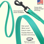Dogline Biothane Waterproof Dog Leash Strong Coated Nylon Webbing with Black Hardware Odor-Proof Easy to Clean High Performance for Small or Large Dogs Made in USA 2 ft Lead, Teal