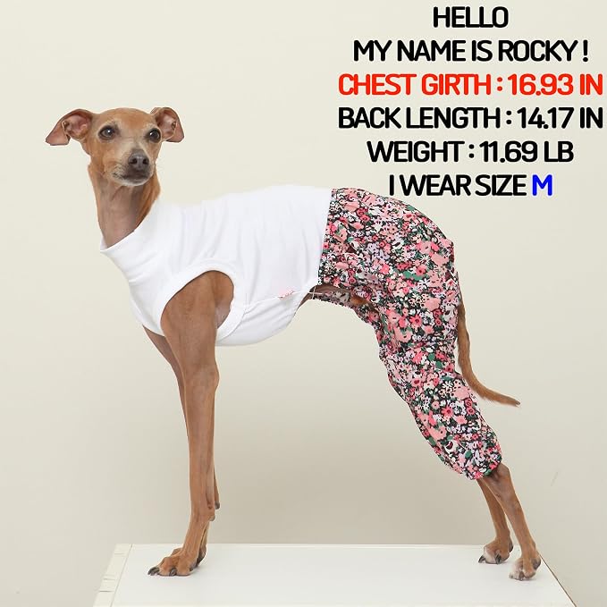 D Doggy Star Italian Greyhound Clothes Mombbe Onesie Outfit Whippet for Dog Coat (2XL,Mombbe Black)