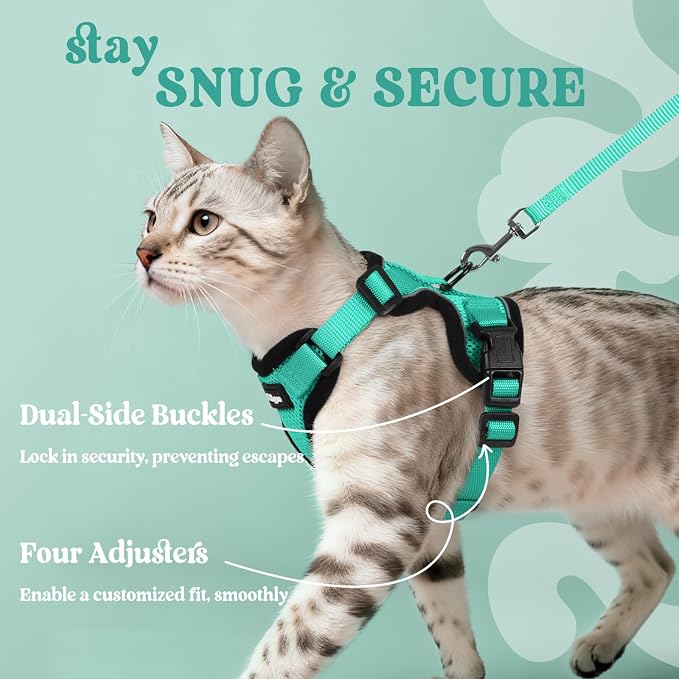 rabbitgoo Cat Harness and Leash Set, Escape Proof Vest, Emerald | Soft Breathable Mesh, Easy Adjustable Fit, Snap Buckles, Sturdy Clip, Reflective Strips, for Small & Average Cats Walks, Xs
