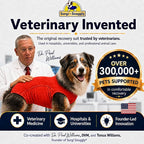 SurgiSnuggly Veterinary Invented Dog Surgical Recovery Suit for Female Spay or Male Dogs Neuters Onesie,Cone Alternative, Original Onesie Bodysuit for After Surgery Small, Medium, Large Dogs XLL Red