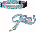 Lucky Love Dog - Adjustable Collar and Leash Set with Easy Click Buckle for Small Dogs, Durable, & Comfortable Collar for Male & Female Dogs, Puppies & Adult - Mariposa Combo, XS