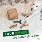 Benebone Large 4-Pack Dog Toys for Aggressive Chewers – Under 90 lbs