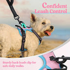 rabbitgoo Dog Harness, No Pull for Small Dogs with 2 Leash Clips, Pet Vest | No Choke with Handle, Adjustable Soft Padded, Reflective, Easy Control for Walking, Pink & Blue, X-Small