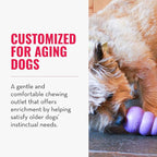 KONG Senior - Dog Toy with Gentle, Natural Rubber - Durable Dog Toy for Older Dogs - Use Treats with Stuffable Chew Toy - Treat Toy for Chewing & Fetching - for Medium Dogs (Pack of 2)