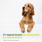Douxo S3 SEB Dog Seboregulating Shampoo, 0.5% Ophytrium, 6.7 fl oz | Seborrhea Treatment for Dogs & Cats, Helps Control Dandruff, Unpleasant Odors & Oily/Flaky Skin, 0.5% Ophytrium, 6.7 fl oz