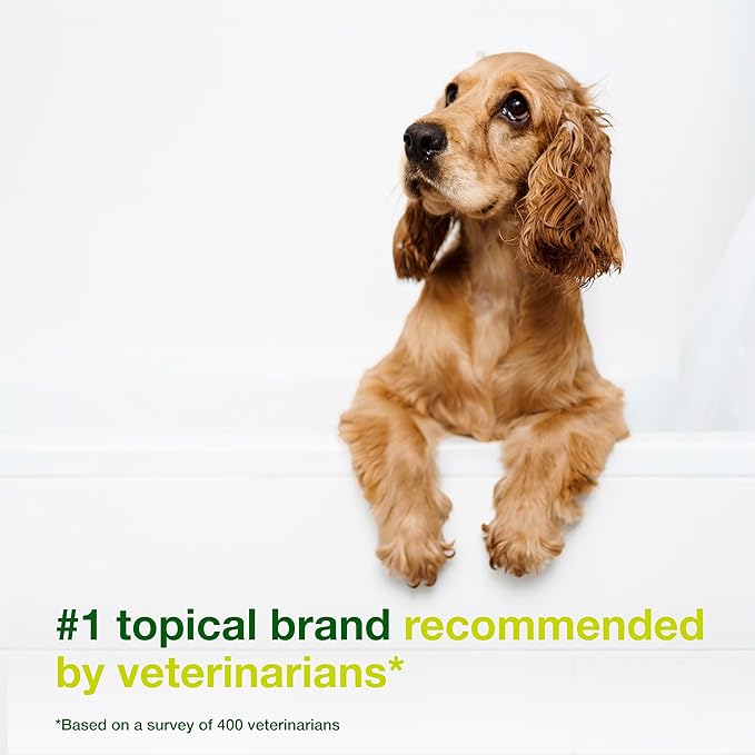 Douxo S3 SEB Dog Seboregulating Shampoo, 0.5% Ophytrium, 6.7 fl oz | Seborrhea Treatment for Dogs & Cats, Helps Control Dandruff, Unpleasant Odors & Oily/Flaky Skin, 0.5% Ophytrium, 6.7 fl oz