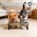 SPUNKYJUNKY Ceramic Elevated Tilted Dog Bowls Bone-Shaped Raised with 2 Height Iron Stand, 5.9'' Dog and Cat Food Water Bowls Set Non-Slip for Small Sized Breed - 13.5 OZ,Dark Green