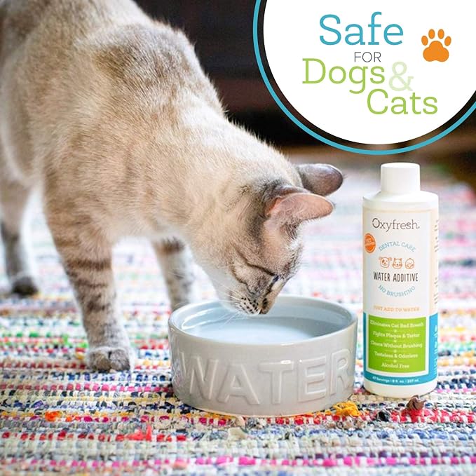 Oxyfresh Premium Pet Dental Care Solution Pet Water Additive – No Brushing | Perfect to Eliminate Bad Dog Breath and Cat Bad Breath – Fights Tartar & Plaque – So Easy, Just Add to Water – Vets Love It