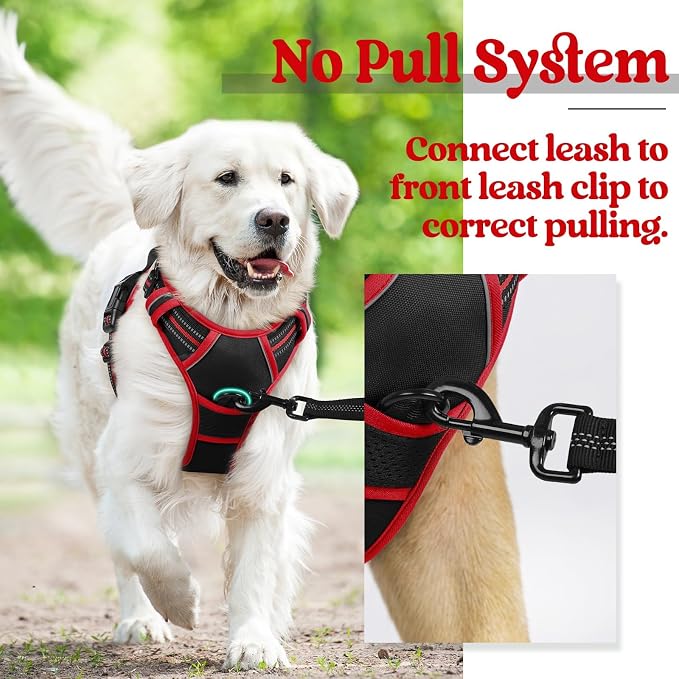 rabbitgoo Dog Harness, No Pull for Large Dogs with 2 Leash Clips, Pet Vest | No Choke with Handle, Adjustable Soft Padded, Reflective, Easy Control for Walking, Black & Red, Large