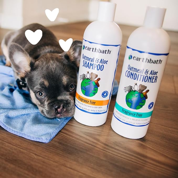 earthbath Oatmeal & Aloe Dog Shampoo, Itchy, Dog Wash, 16 Oz (2 Pack) | Oatmeal Shampoo For Dogs, Dry Skin Relief, Made in USA, Cruelty Free, Fragrance Free Pet Wash