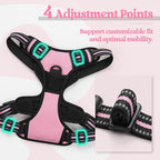 rabbitgoo Dog Harness, No Pull for Large Dogs with 2 Leash Clips, Pet Vest | No Choke with Handle, Adjustable Soft Padded, Reflective, Easy Control for Walking, Pink, Large