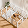 EVERFRONT Clear Acrylic Dog Playpen - Clear Dog Play Pen - Easy Assemble Acrylic Dog Playpen - Puppy Playpen, Cat Playpen, Small Animal Playpen, Dog Play Pen Indoors(30", 12-Pack 2-Room)