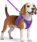 Eagloo Small Dog Harness and Leash Set, Step in Medium Small Puppy Pet Vest | Light, Soft, Breathable Air Mesh, Easy on and off with Hook & Loop, Reflective for Safe Walking, Purple, M