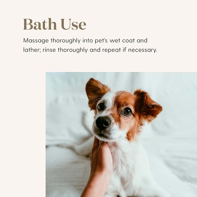 Young Living Animal Scents Shampoo | 8 oz | Botanical Pet Shampoo with Lavender, Peppermint & Tea Tree Essential Oils | Gentle Cleansing Shampoo for Dogs & Animals | Plant-Based Grooming Care