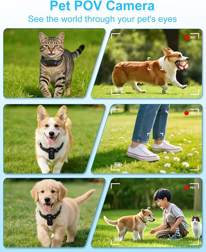 Cat Camera Collar with Phone APP & 1080P HD Video Record,XS-Size Pet POV Cam for Cats & Small Dogs,Mini Small Sports Video Cameras for Pets(Included 8GB SD Card),Pet Supplies Gift for Pet Owners
