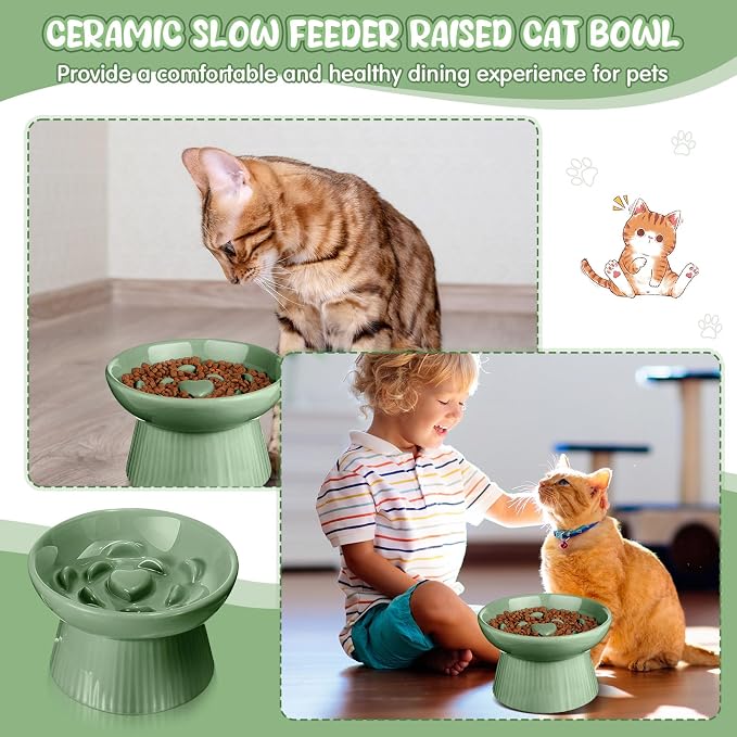 Tioncy 2 Pcs Ceramic Elevated Slow Feeder Cat Bowl, Raised Cat Slow Feeder Bowl, Anti Vomiting for Dry and Wet Food, No Spill High Edge Easy Clean Dishwasher Safe (Sage Green)