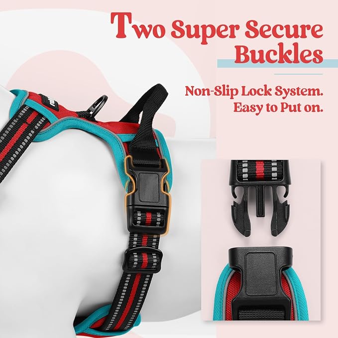 rabbitgoo Dog Harness, No Pull Medium Sized with 2 Leash Clips, Pet Vest | No Choke with Handle, Adjustable Soft Padded, Reflective, Easy Control for Walking, Red & Teal, Medium