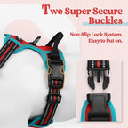 rabbitgoo Dog Harness, No Pull Medium Sized with 2 Leash Clips, Pet Vest | No Choke with Handle, Adjustable Soft Padded, Reflective, Easy Control for Walking, Red & Teal, Medium