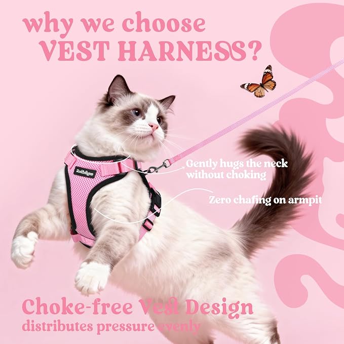 rabbitgoo Cat Harness and Leash Set, Escape Proof Vest, Pink | Soft Breathable Mesh, Easy Adjustable Fit, Snap Buckles, Sturdy Clip, Reflective Strips, for Average Cats Walks, S
