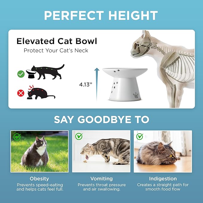 Necoichi Ceramic Extra-Wide Elevated Cat Food Bowl (Cat, Extra Wide)