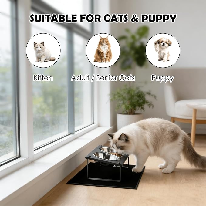 Elevated Cat Bowls with Splash Proof Mat for Kitten Puppy, 10° Tilted Raised Cat Bowl Stand Anti-Vomiting, 2 Wide Shallow Stainless Steel Bowls, Whisker Friendly, 3.5" Tall