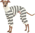 D Doggy Star Italian Greyhound Clothes Soft Stretchy Onesie Refined Stripe Outfit Whippet for Dog Coat (M,Onsi Black Str)