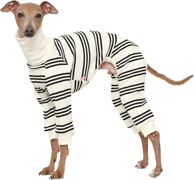 D Doggy Star Italian Greyhound Clothes Soft Stretchy Onesie Refined Stripe Outfit Whippet for Dog Coat (M,Onsi Black Str)