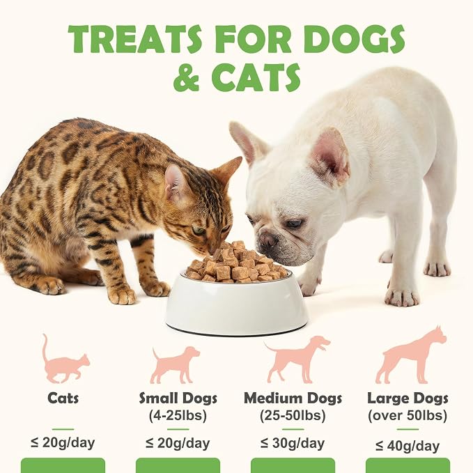 Freeze-Dried Salmon Treats for Dogs and Cats, 10.6 oz | Single Ingredient, High Protein Recipe, Grain-Free Snack, Food Topper Use, Training Treats