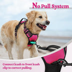 rabbitgoo Dog Harness, No Pull for Large Dogs with 2 Leash Clips, Pet Vest | No Choke with Handle, Adjustable Soft Padded, Reflective, Easy Control for Walking, Hot Pink, Large