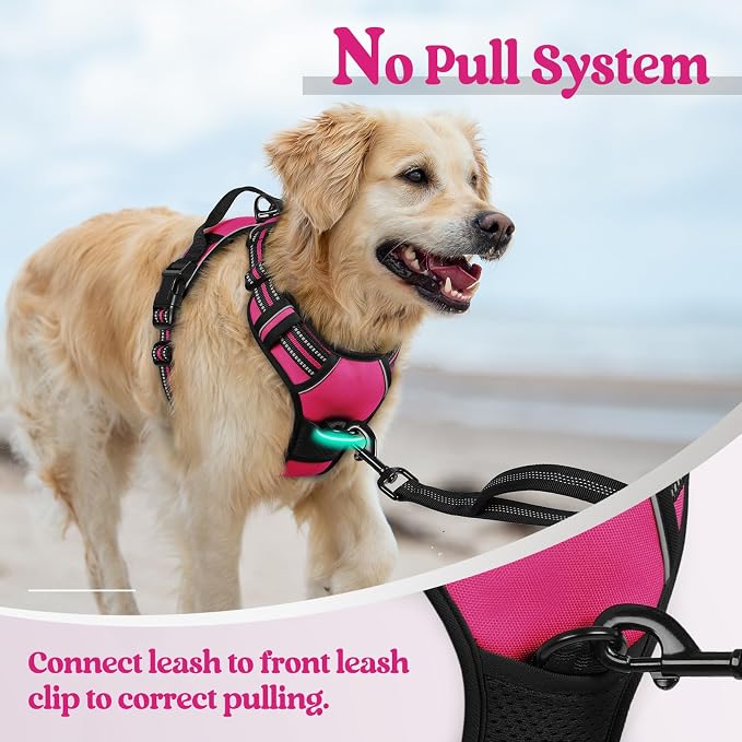 rabbitgoo Dog Harness, No Pull for Large Dogs with 2 Leash Clips, Pet Vest | No Choke with Handle, Adjustable Soft Padded, Reflective, Easy Control for Walking, Hot Pink, Large