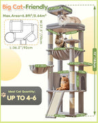 Taoqimiao Cat Tree for Large Cats, 72In Tall Cat Tower, Giant Platform | Widened Cat Condo with Large Scratch Board, 5 Scratching Posts, Metal Frame Hammcock, Cozy Basket, Light Gray, MS045W