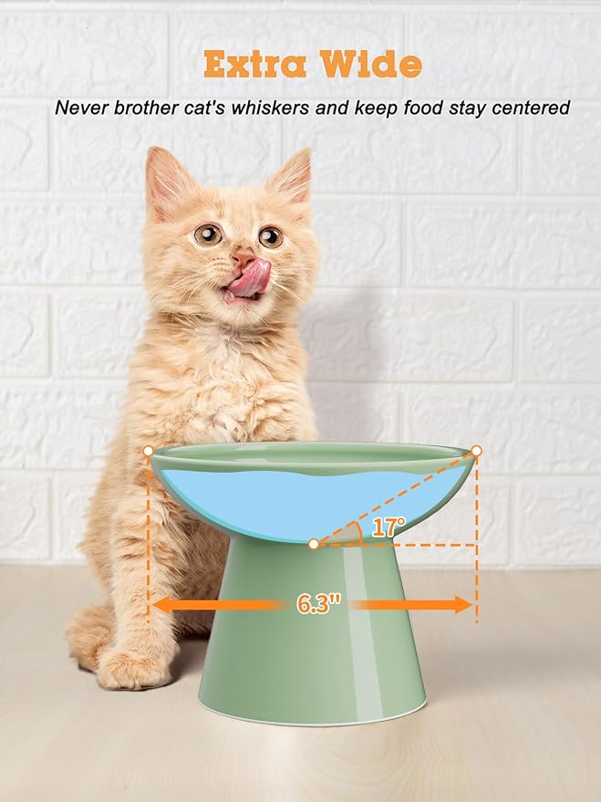 LoeJan Elevated Cat Food and Water Bowls Set, Extra Wide and Raised Ceramic Bowls, Anti-Vomit Whisker-Free Pressure Cat Feeder for Kittens to Adult Cats and Small Dogs