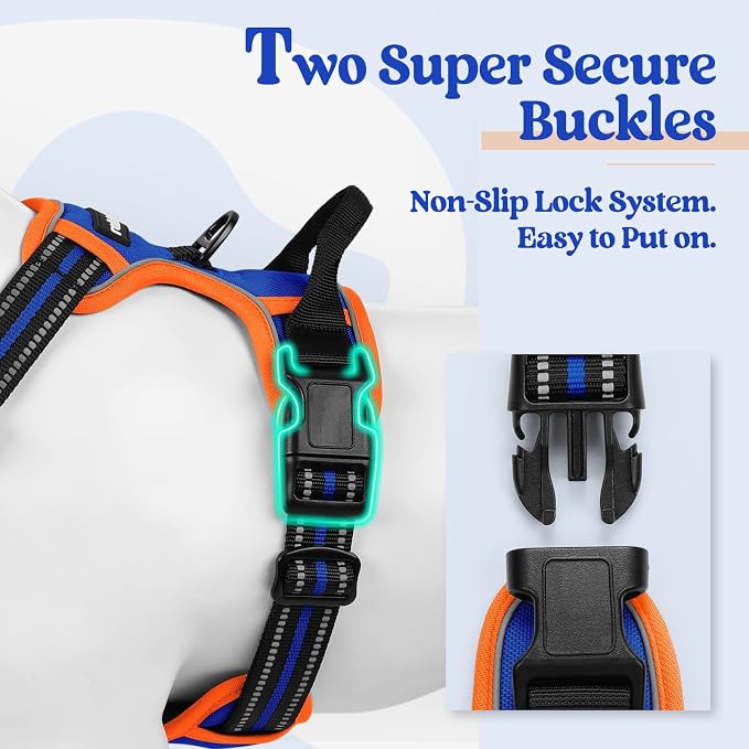 rabbitgoo Dog Harness, No Pull for Large Dogs with 2 Leash Clips, Pet Vest | No Choke with Handle, Adjustable Soft Padded, Reflective, Easy Control for Walking, Blue & Orange, X-Large