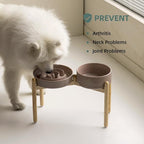 Havniva Elevated Slow Feeder Dog Bowls, Ceramic Dog Bowl Slow Feeder Set | 3.2 Cups Raised Slow Feeding Bowl for Large Breed, 8.2” Dog Water Bowl with Wooden Stand, Puzzle Dog Slow Feeder, Non-slip