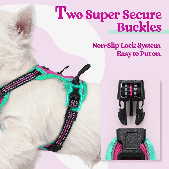 rabbitgoo Dog Harness, No Pull for Small Dogs with 2 Leash Clips, Pet Vest | No Choke with Handle, Adjustable Soft Padded, Reflective, Easy Control for Walking, Hot Pink & Turquoise, X-Small