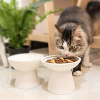 CEEFU 2-Pack Elevated Ceramic Cat Bowls Extra Wide for Food & Water | Anti Vomiting, Whisker Friendly, Shallow Food Dish and Deep Water Bowl, Lead&Cadmium-Free, Raised Height for Cats, White