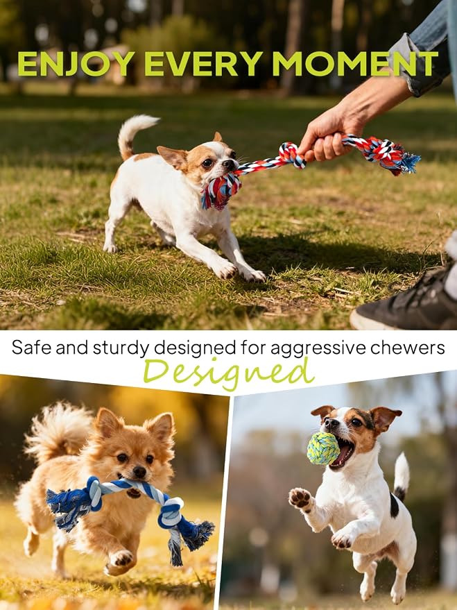 TwoEar Dog Rope Toy 9 Pack - Puppy Teething Toys for Small Medium Breed | Indestructible Dog Chew Toys for Aggressive Chewers - Cotton Tug of War Dog Toys for Boredom, Teeth Clean
