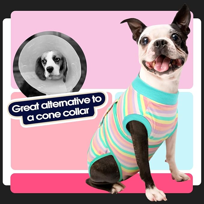 FUAMEY Recovery Suit for Dogs After Surgery,Soft Breathable Dog Bodysuit | E-Collar & Cone Alternative Surgical Suit,Male Female Dog Neuter Spay Suits Anti Licking Wounds Onesie Mint Green Stripes L