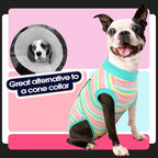 FUAMEY Recovery Suit for Dogs After Surgery,Soft Breathable Dog Bodysuit | E-Collar & Cone Alternative Surgical Suit,Male Female Dog Neuter Spay Suits Anti Licking Wounds Onesie Mint Green Stripes XS