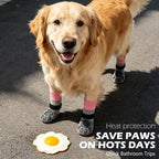 EXPAWLORER Non-Slip Dog Socks for Hardwood Floors to Prevent Licking, Dog Shoes for Hot Pavement Quick Walking, Dog Booties Boots & Paw Protectors with Grippers for Small Medium Large Senior Dogs S